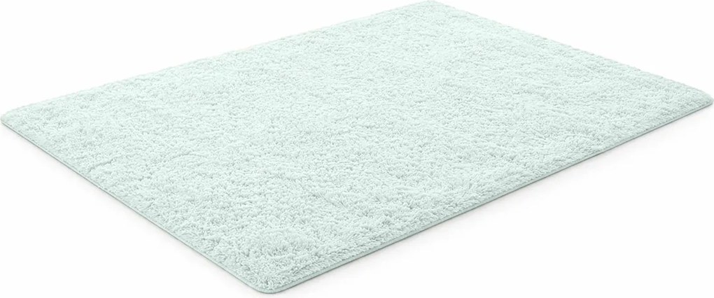 TZ Biely obdĺžnikový shaggy koberec Lana Rozmer: 160x200 cm