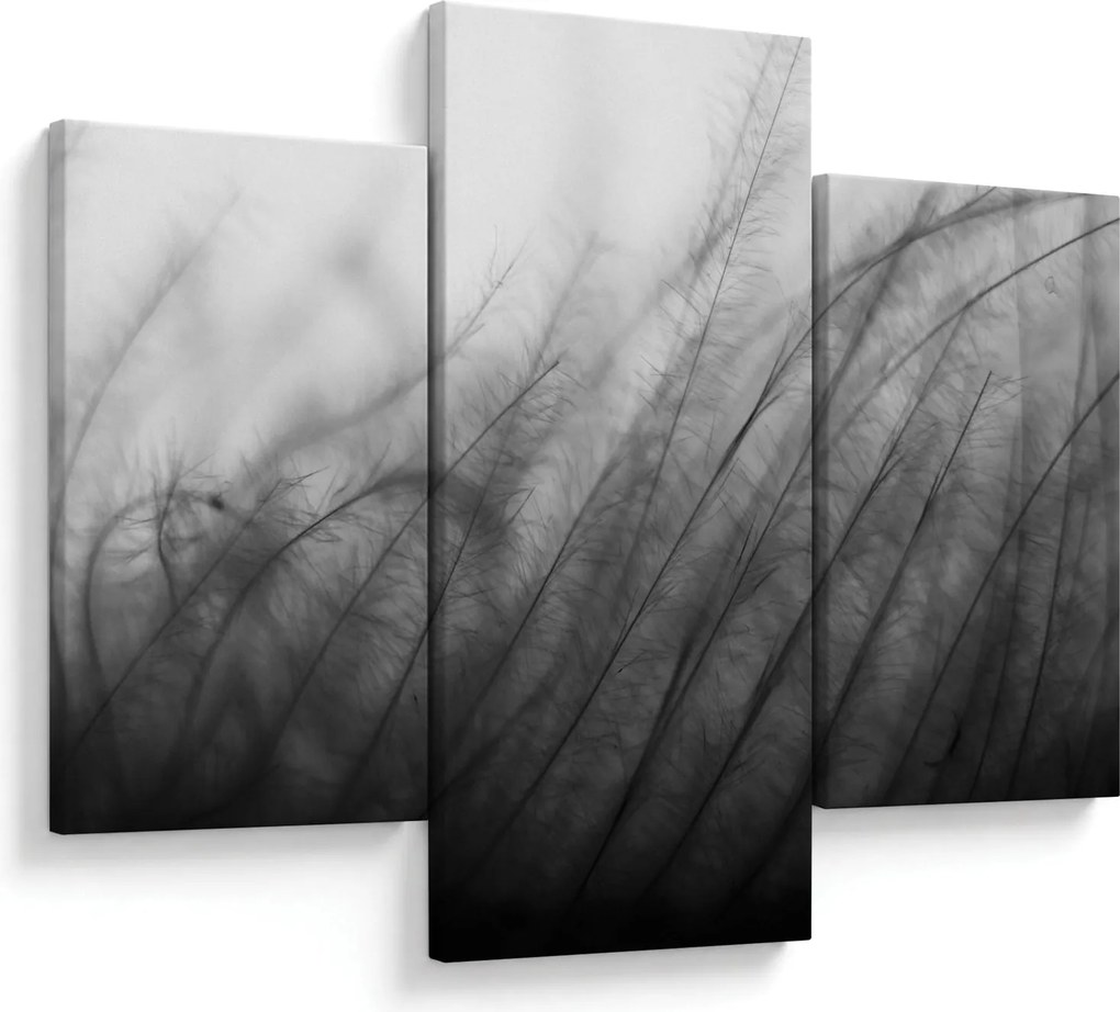 Obraz - Tráva vo vetre (90x60 cm)