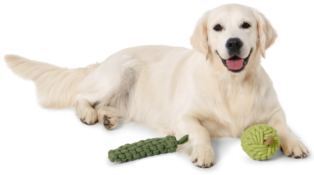 Hračka pre psy