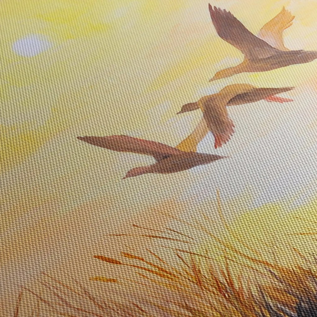 Obraz - Žeriavy pri západe slnka (70x50 cm)