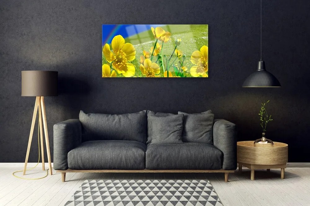 Obraz na skle Lúka kvety dúha príroda 100x50 cm