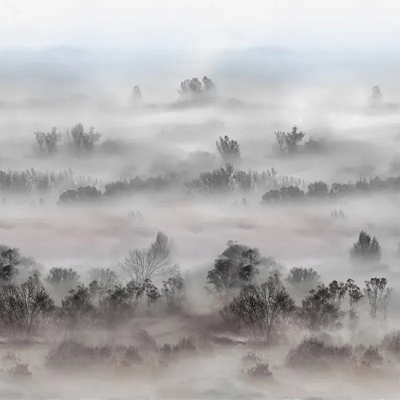 VLADILA Foggy Landscape Pastels - tapeta