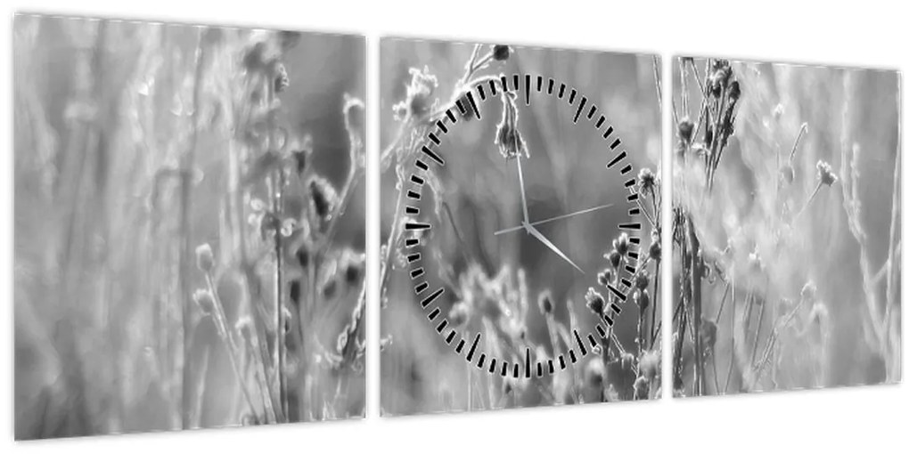 Obraz - Divoká lúka (s hodinami) (90x30 cm)