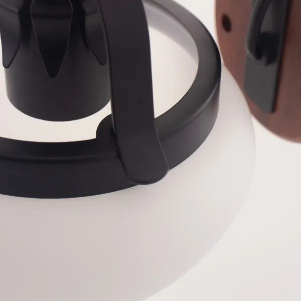 Rabalux 7077 - Nástenné svietidlo PETRONEL E27/60W/230V