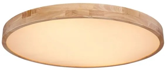 Globo 41745-60 - LED Stmievateľné stropné svietidlo RAINER LED/60W/230V + DO