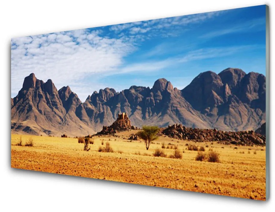 Sklenený obklad Do kuchyne Púšť hory príroda 120x60 cm