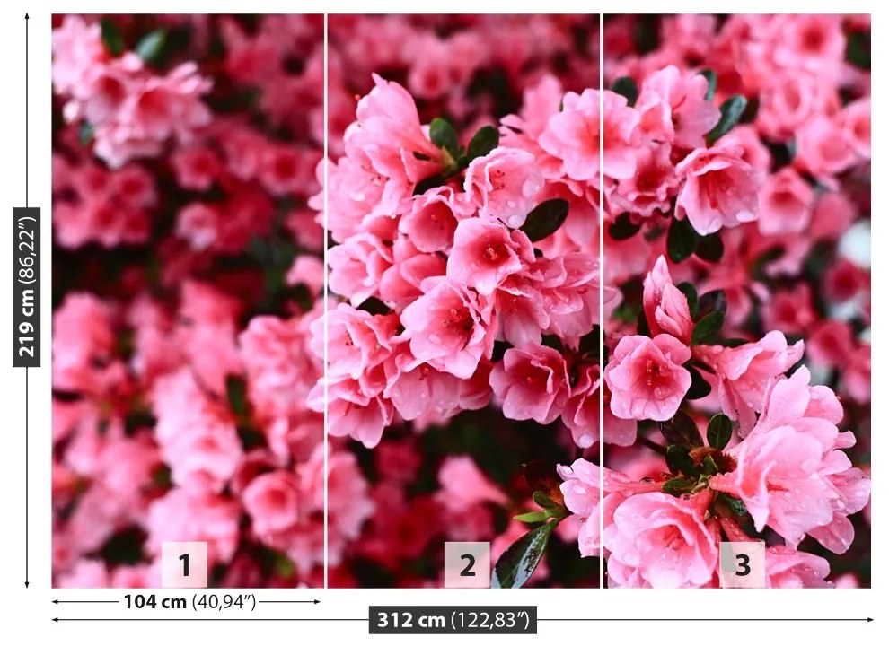 Fototapeta Vliesová Ružový rododendron 208x146 cm