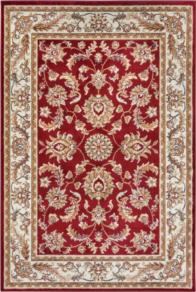 Hanse Home 80x120 cm Kusový koberec Luxor 105642 Reni Red Cream, červená, obývacia izba
