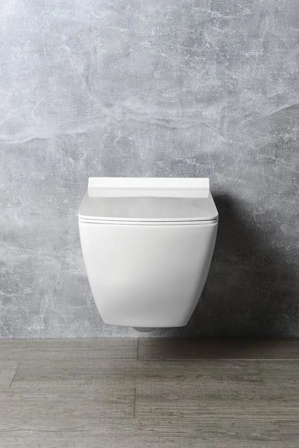 Isvea Isvea, PURITY WC sedátko, SLIM, Soft Close, biela, 40S80200I