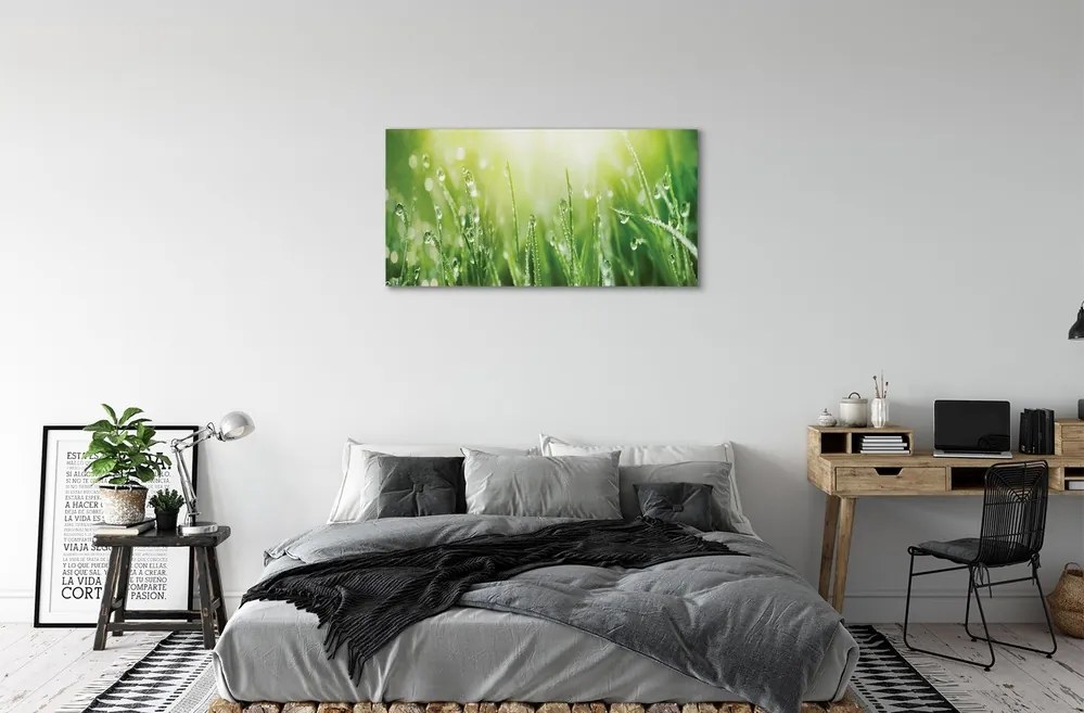 Obraz canvas Tráva slnko kvapky 140x70 cm