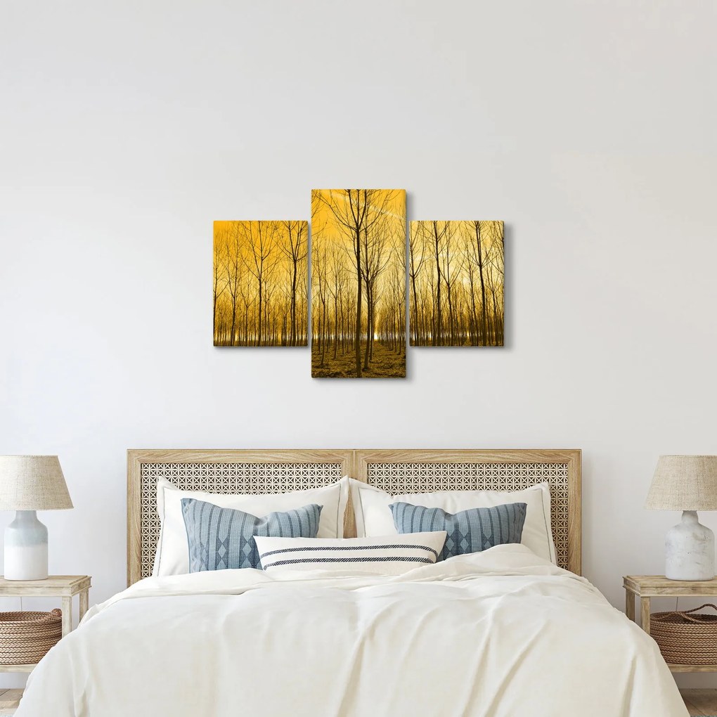 Obraz - Plantáž stromov (90x60 cm)