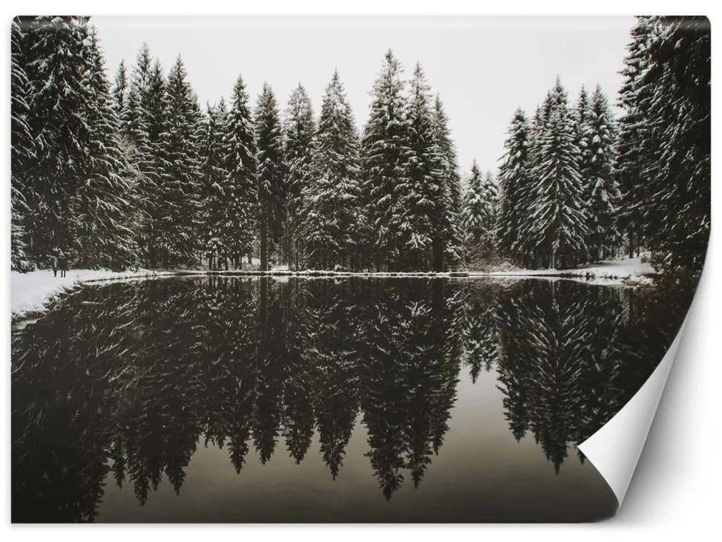 Fototapeta, Jezero v lese v zimě - 200x140 cm