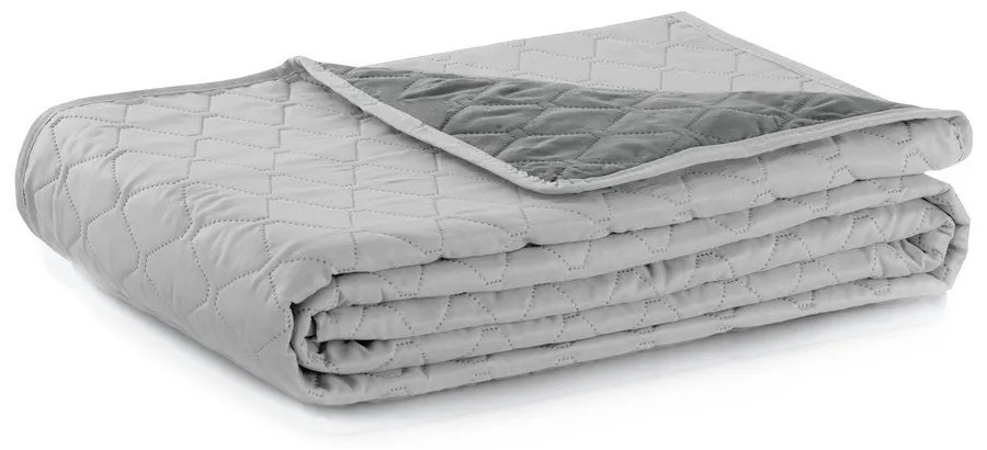 Sivý obojstranný pléd z mikrovlákna DecoKing Axel, 200 × 220 cm