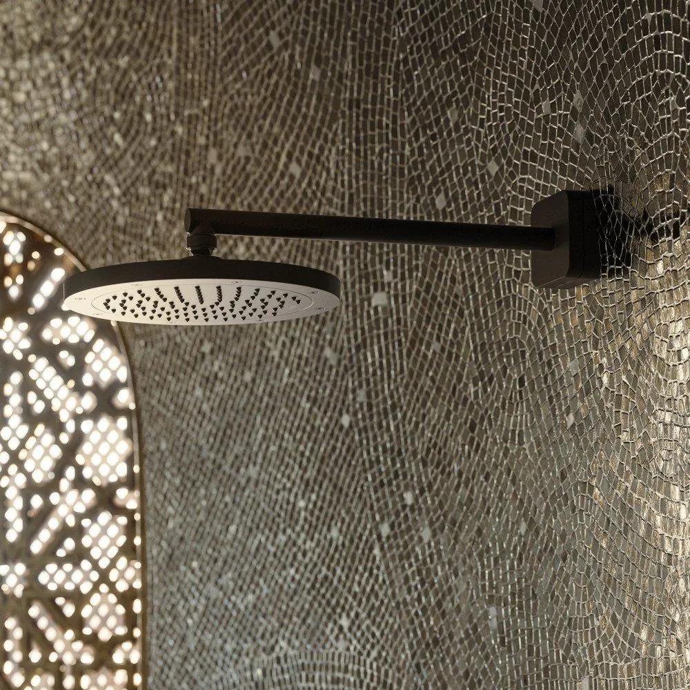 AXOR ShowerSolutions Conscious horná sprcha 1jet EcoSmart, priemer 245 mm, matná čierna, 35381670
