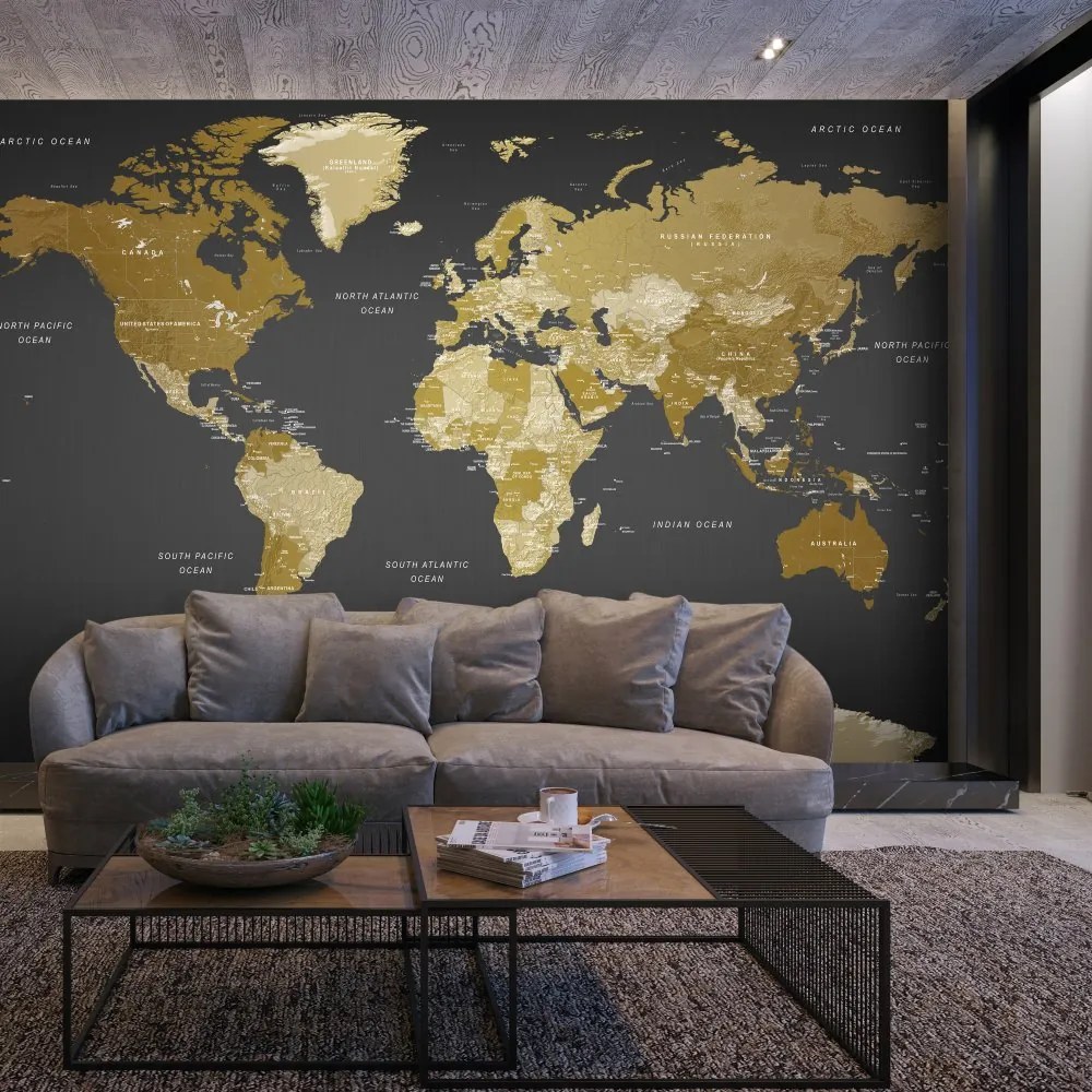 Samolepiaca fototapeta - Mapa sveta: Moderná geografia 245x175