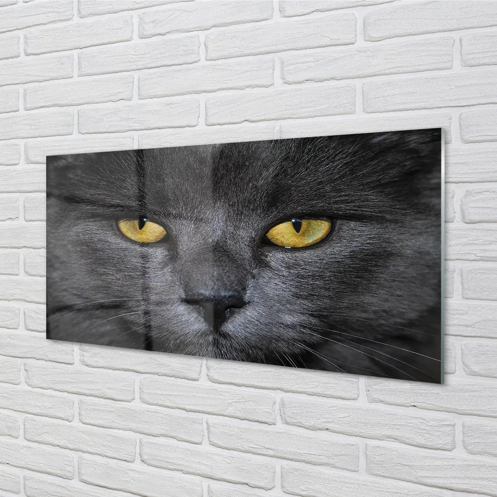 Nástenný panel  Čierna mačka 120x60 cm