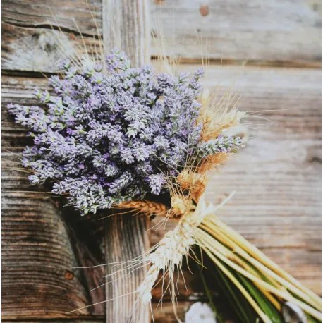 Obraz tlačený na plátne 70x70 PRC1011