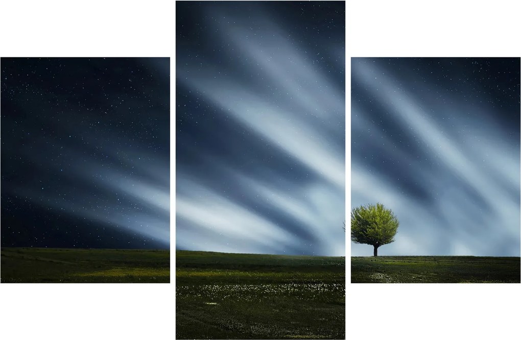 Obraz polárna žiara nad vresoviskom (90x60 cm)