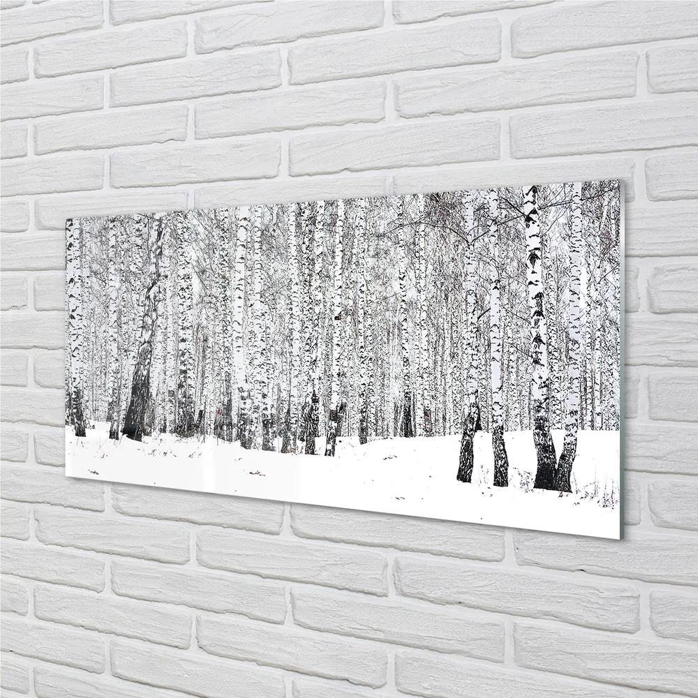 Obraz plexi Zimný brezy 125x50 cm