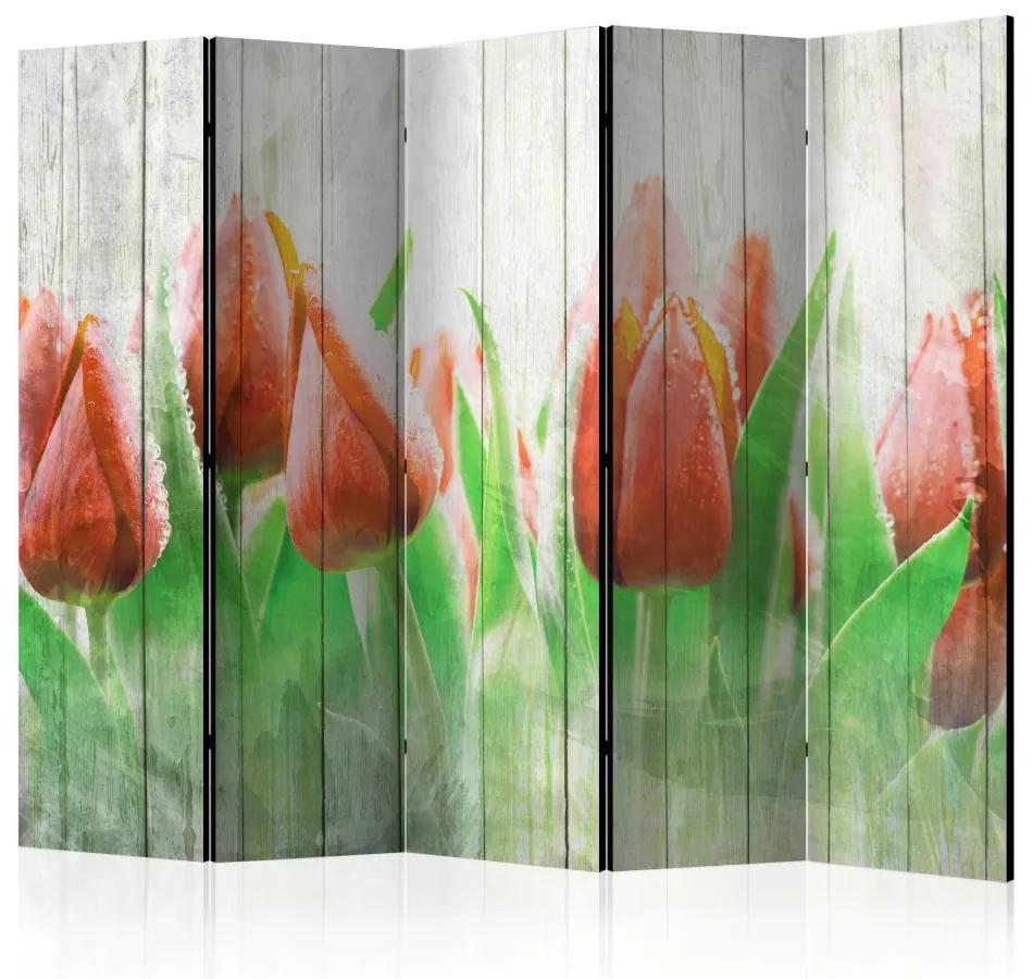 Paraván - Červené tulipány na dreve II 225x172 225x172