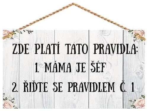 Bohemia Gifts Dekorační obrázok - Pravidla