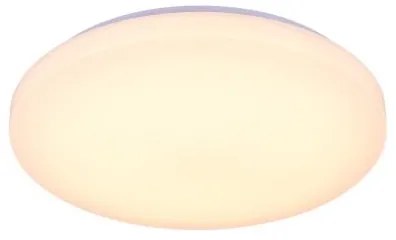 LED Stmievateľné stropné svietidlo s hlasovým ovládaním OPAL LED/48W/230V + DO