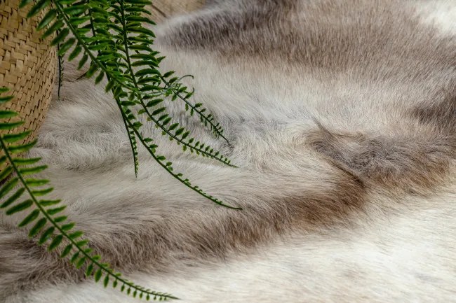 Koberec RENIFER POK003 PREMIUM hnedý / biely