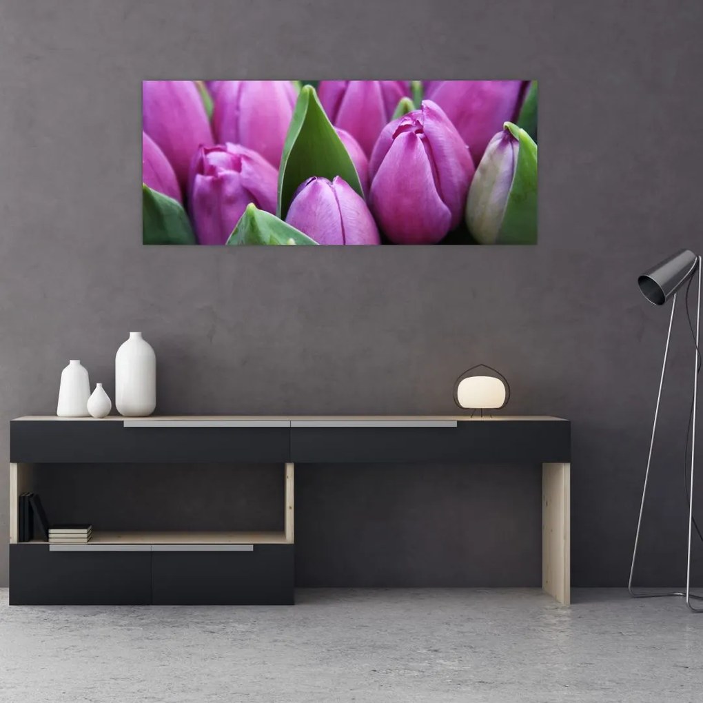 Obraz - kvety tulipánov (120x50 cm)