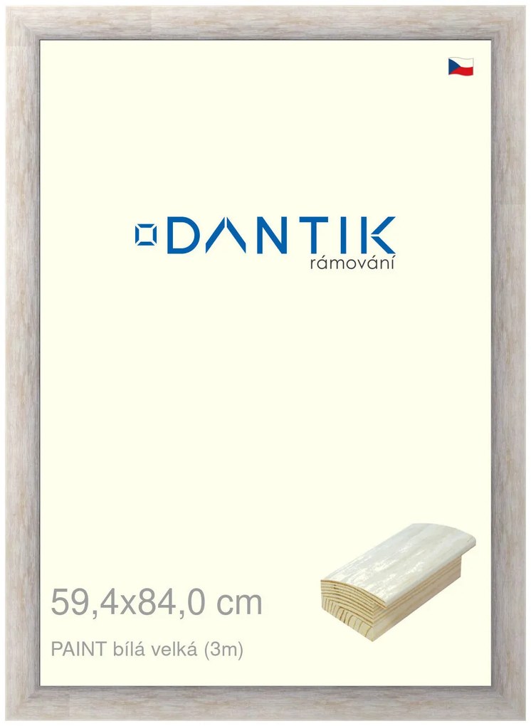 DANTIK rám na obraz 59,4x84 | PAINT bílá velká (Plexi Čiré)