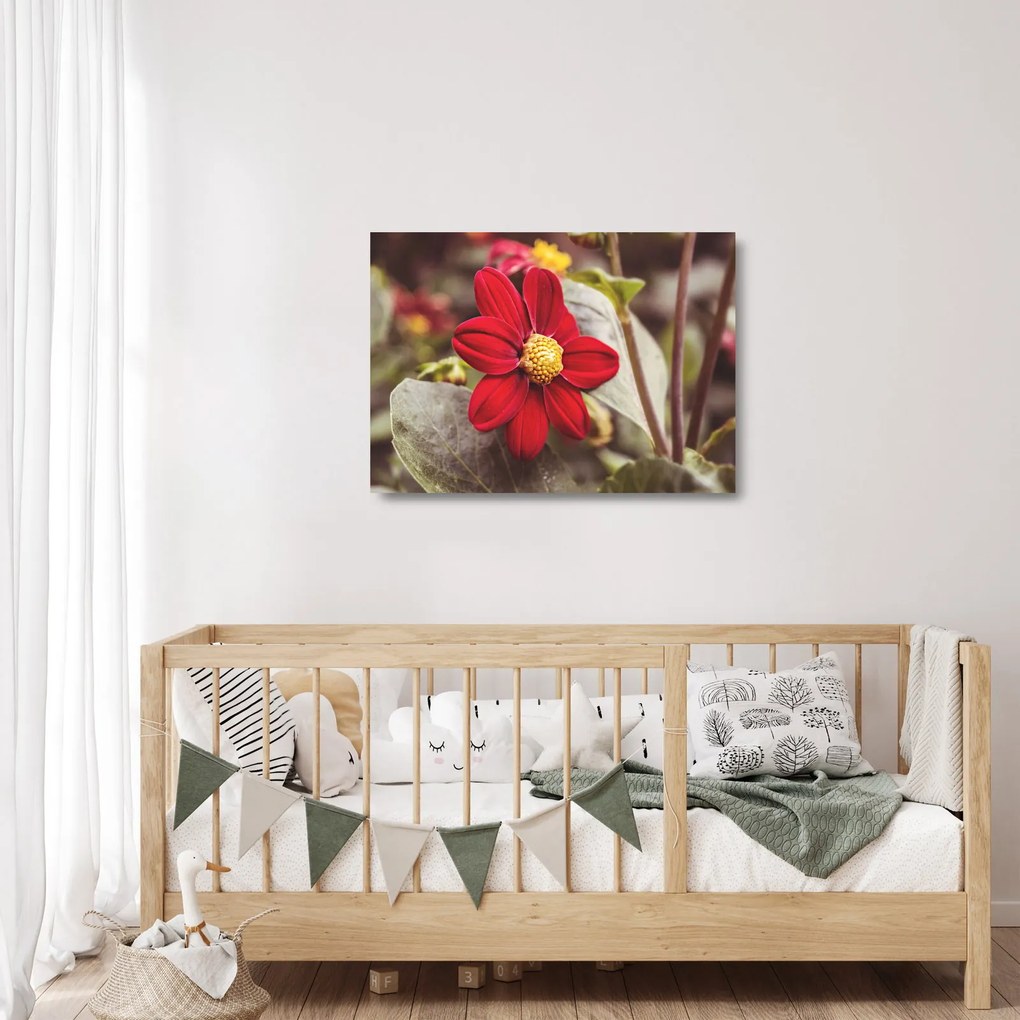 Sklenený obraz kvetiny (70x50 cm)
