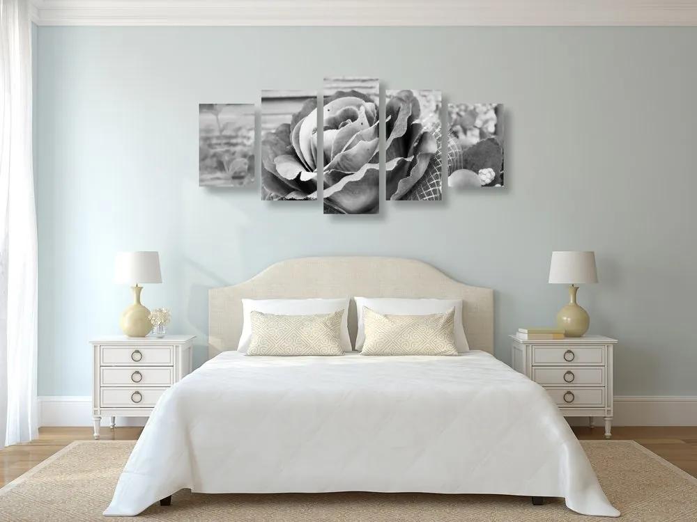 5-dielny obraz elegantná vintage ruža v čiernobielom prevedení - 200x100