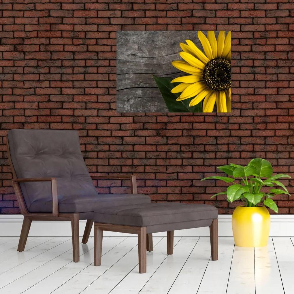 Sklenený obraz - Kvet slnečnice (70x50 cm)