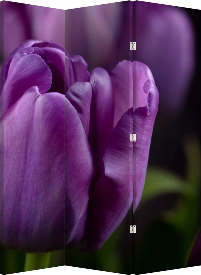 Paraván - Kvet tulipánov (126x170 cm)