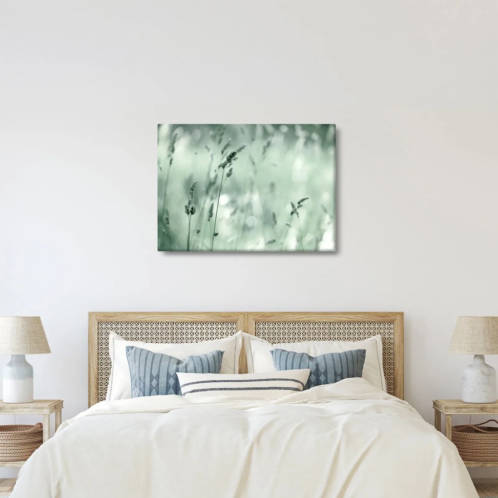 Obraz - Zelená lúka (70x50 cm)