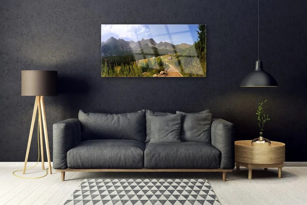 Skleneny obraz Hala góry droga natura łąka 100x50 cm