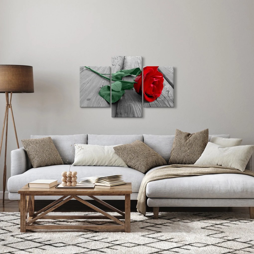 Obraz - Červená ruža so zelenou stonkou (90x60 cm)