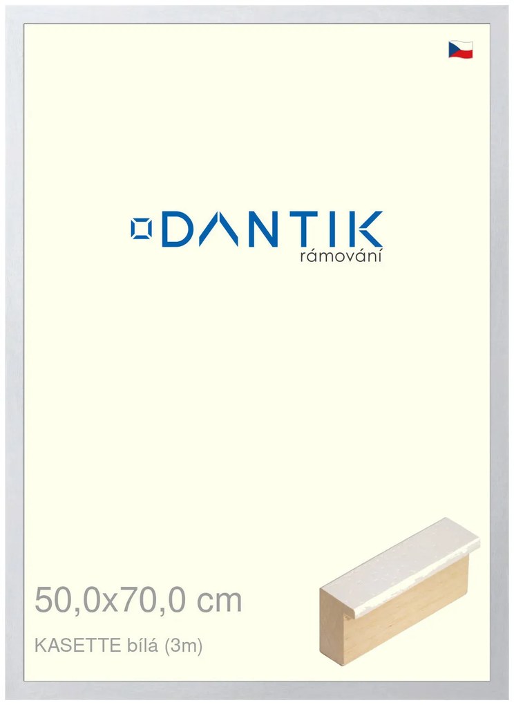 DANTIK rám na obraz 50x70 | KASSETTE bílá (Plexi Čiré)