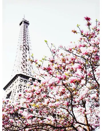 Obraz tlačený na plátne 50x70 PRC1123