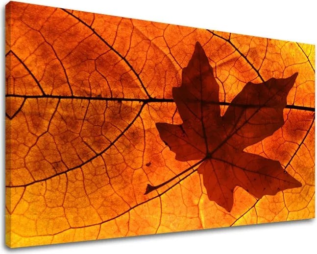 Obraz na stenu RASTLINY