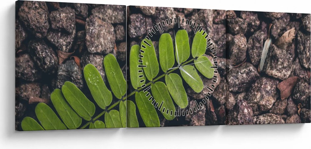 Obraz zelenej rastliny (s hodinami) (90x30 cm)