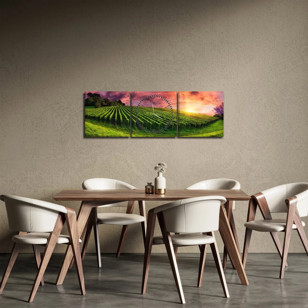 Obraz vinice s farebným nebom (s hodinami) (90x30 cm)