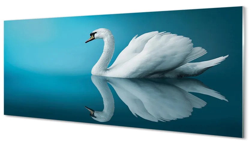 Obraz na akrylátovom skle Swan vo vode 120x60 cm