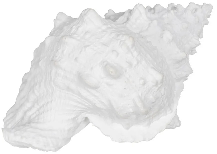 Soška z polyresínu (výška 12 cm) Seashell – Ixia