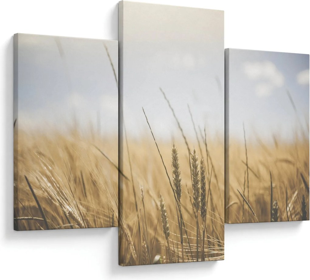 Obraz obilia (90x60 cm)