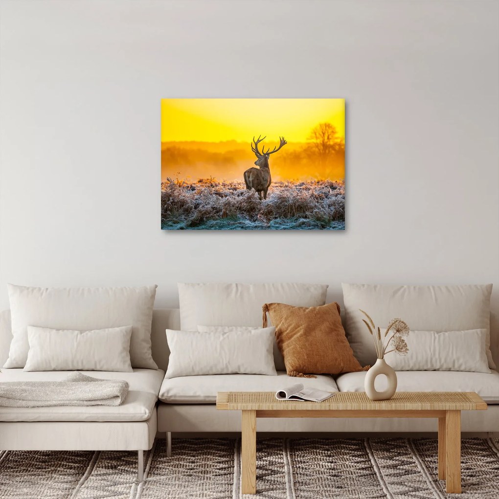 Obraz - Jeleň pri východe slnka (70x50 cm)