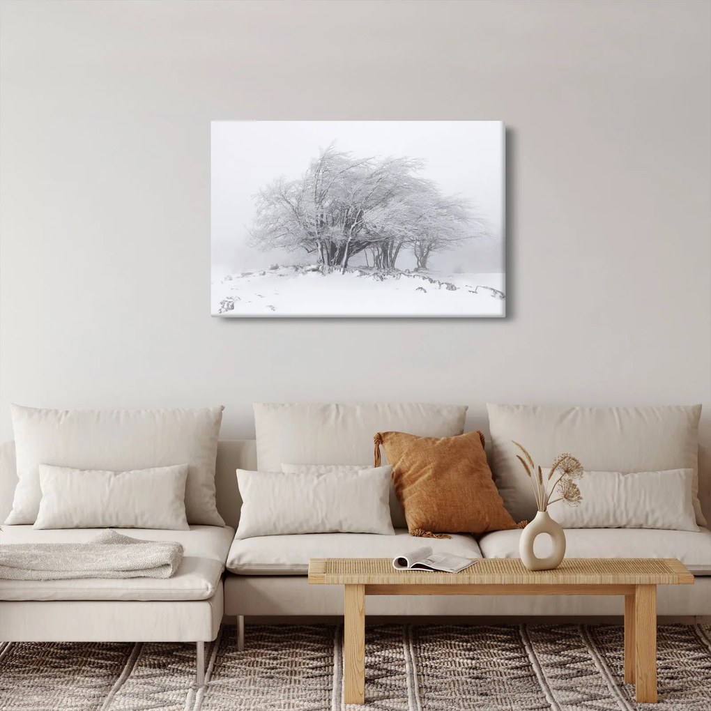 Obraz - Biela zima (90x60 cm)