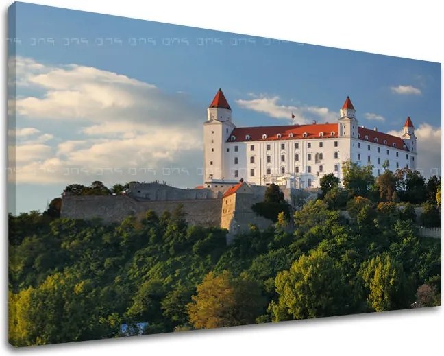 Obraz na stenu SLOVENSKO SK003E11