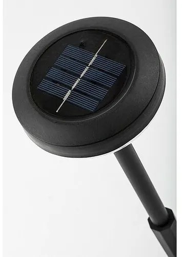 Rabalux 77177 vonkajšie zapichovacie LED svietidlo Monor, 0,1W, 3000K, 3lm, IP44