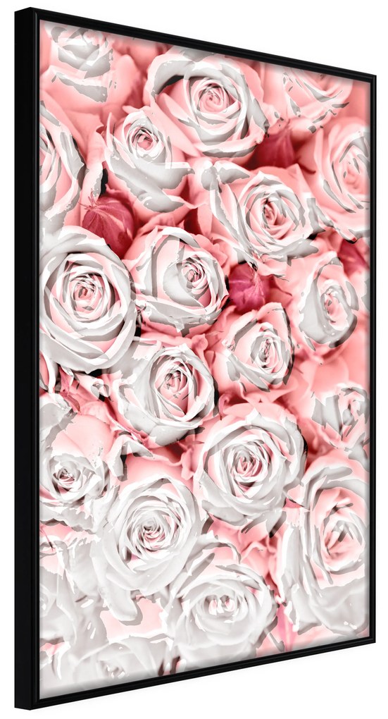 Artgeist Plagát - White Roses [Poster] Veľkosť: 30x45, Verzia: Zlatý rám