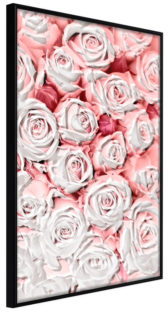 Artgeist Plagát - White Roses [Poster] Veľkosť: 40x60, Verzia: Zlatý rám